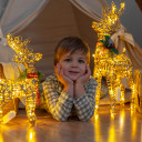 Даниэль Гарибян  - фото № 21