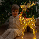 Даниэль Гарибян  - фото № 22